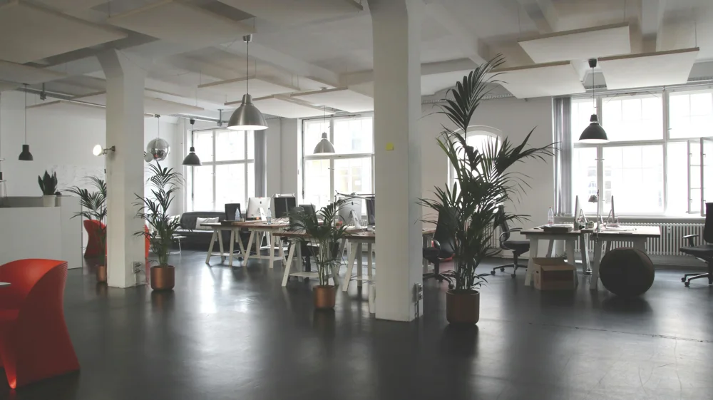 The Impact of a Clean Office on Employee Productivity and Morale illustration